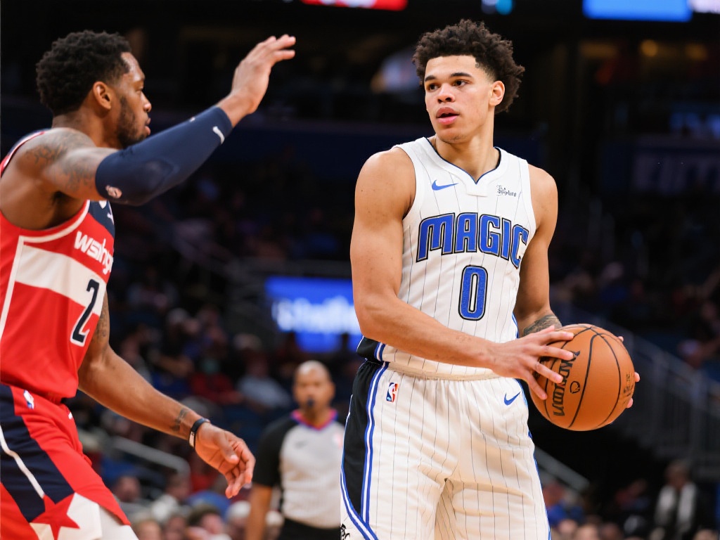 这一系列的 这一系列的